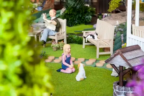 Cadbury Garden Centre Soft Play