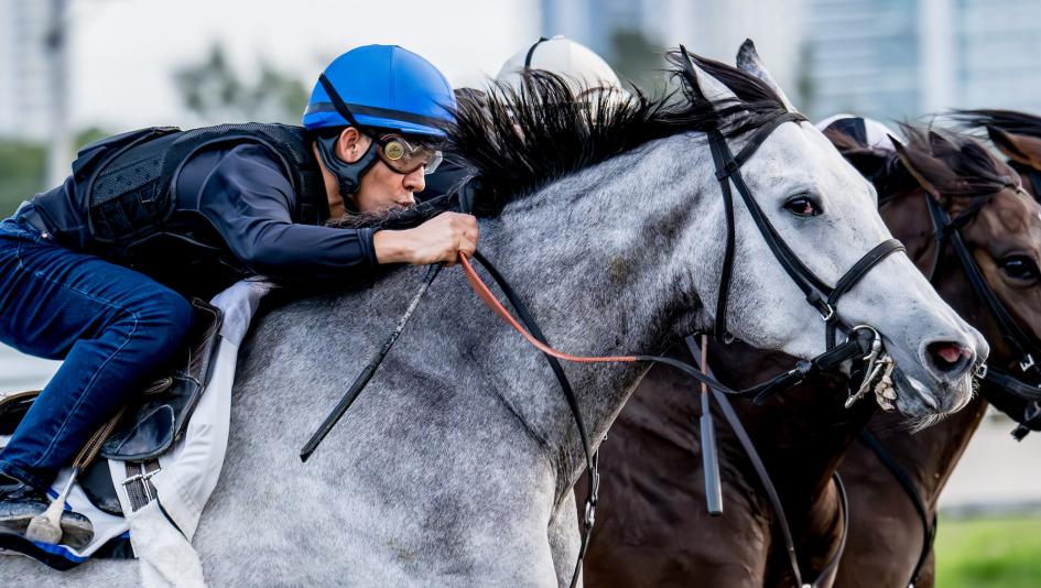 What Do Jockeys Wear